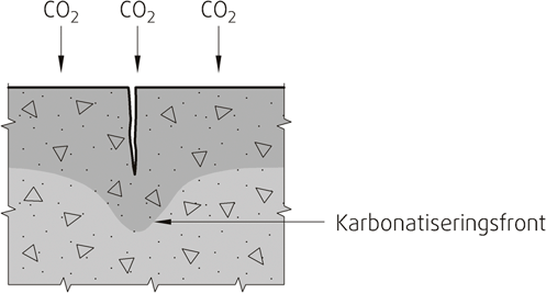 Fig. 344