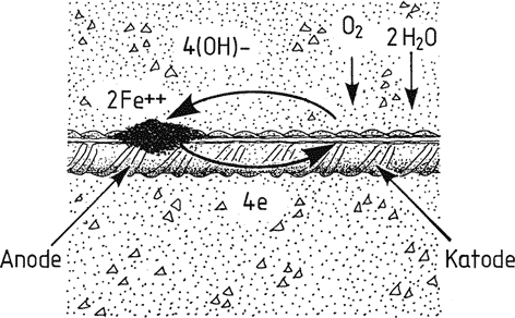 Fig. 11