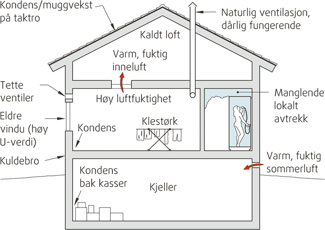 Fig. v